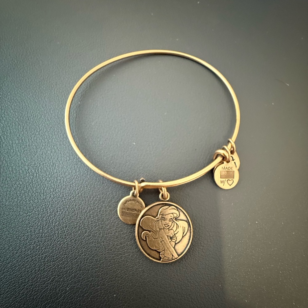 Alex and Ani Gold Expandable Charm Bracelet